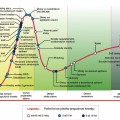 Hrozby ICT v Hype Cycle Diagramu