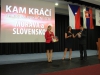 482-Prerov-2014-konference